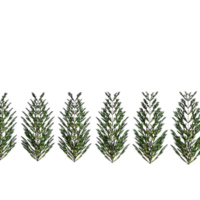 现代花草植物免费su模型(1)