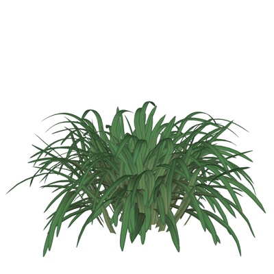 现代花草植物免费su模型(1)