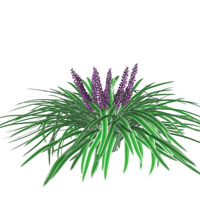 现代薰衣草免费su模型(1)