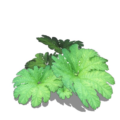 现代花草植物免费su模型(1)
