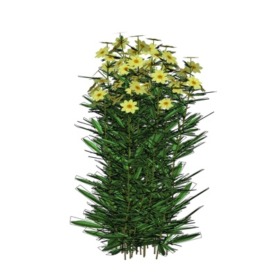现代菊花免费su模型(1)