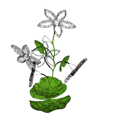 现代风车花免费su模型(1)