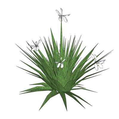 现代花草植物免费su模型(1)