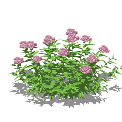现代草地免费su模型(1)