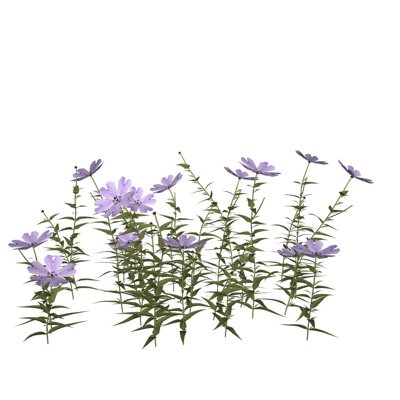 现代兰花免费su模型(1)