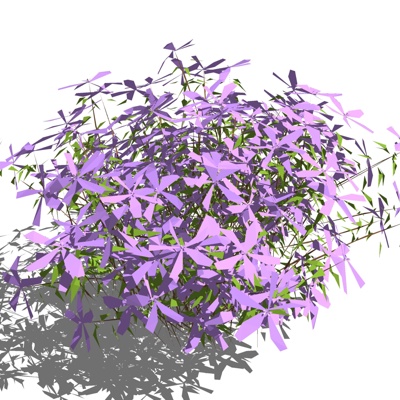 现代兰花免费su模型(1)