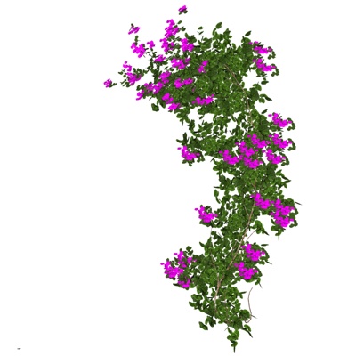 现代绿植免费su模型(1)