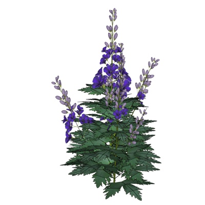 现代兰花免费su模型(1)