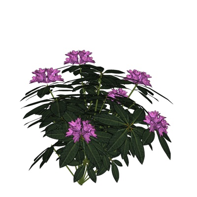 现代绿植免费su模型(1)