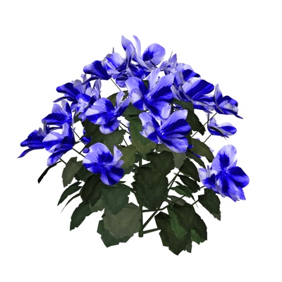 现代兰花免费su模型(1)