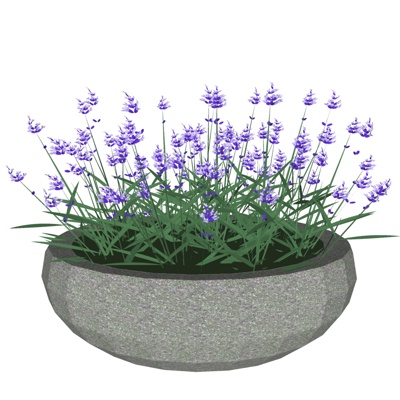 现代绿植免费su模型(1)