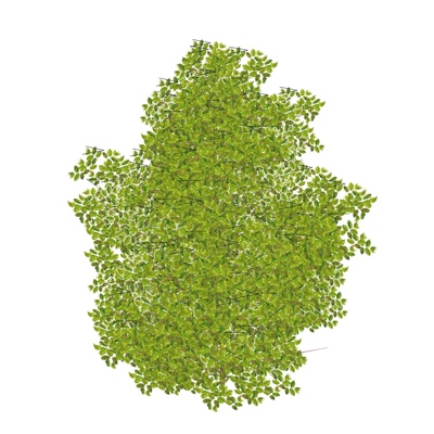 现代绿植免费su模型(1)