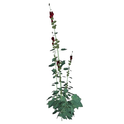 现代绿植免费su模型(1)