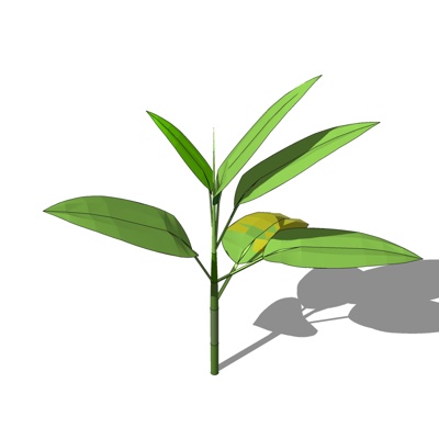 现代野草免费su模型(1)