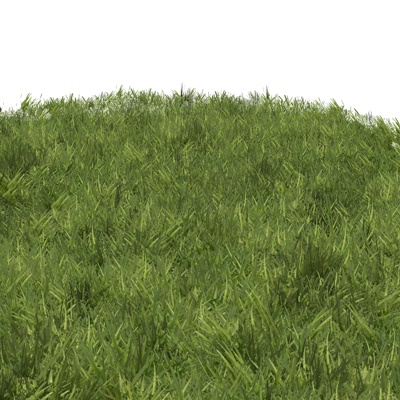 现代草坪免费su模型(1)