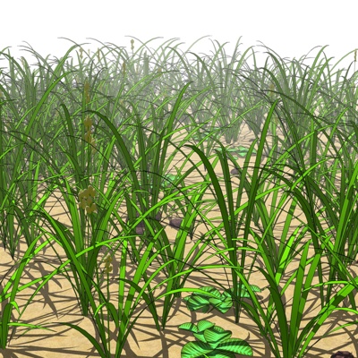 现代水稻免费su模型(1)