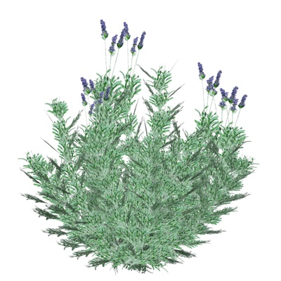 现代薰衣草免费su模型(1)