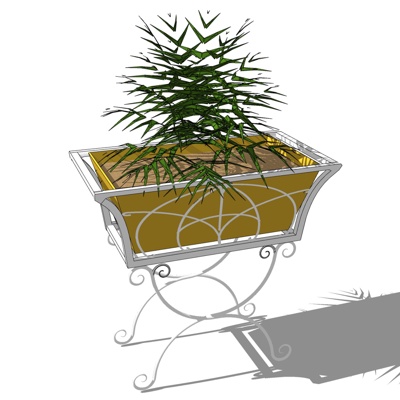 现代盆栽草免费su模型(1)