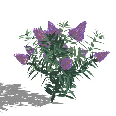 现代绣球花免费su模型(1)