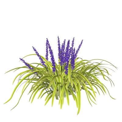 现代薰衣草免费su模型(1)