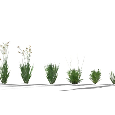 现代花草植物组合免费su模型(1)