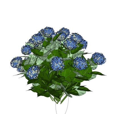 现代绣球花免费su模型(1)