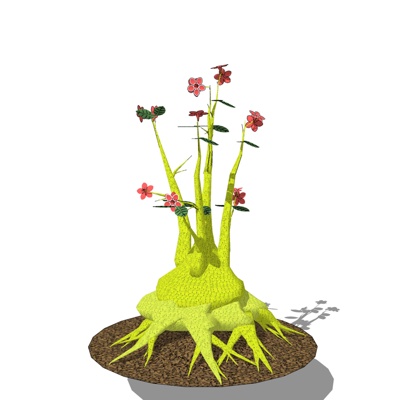 现代花草植物免费su模型(1)