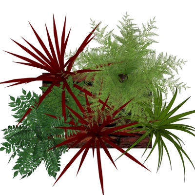 现代花草植物免费su模型(1)