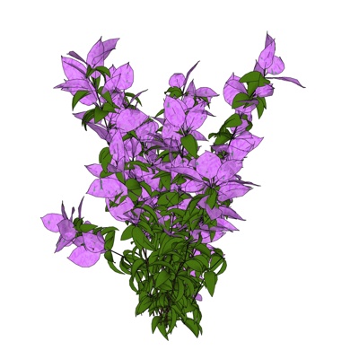 现代叶子花免费su模型(1)
