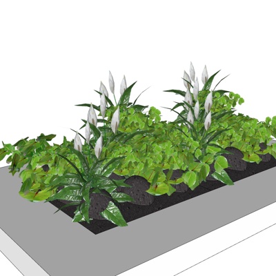现代花草植物免费su模型(1)