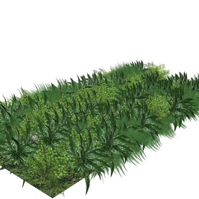 现代花草植物组合免费su模型(1)
