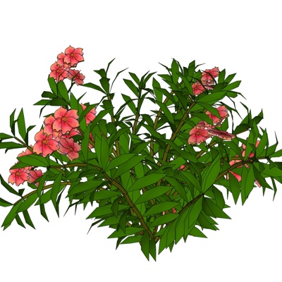 现代朱槿免费su模型(1)