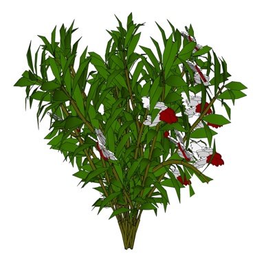 现代花草植物免费su模型(1)