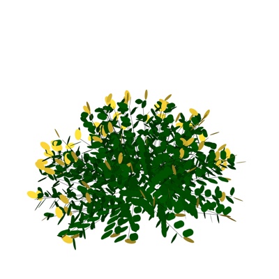 现代花草植物免费su模型(1)
