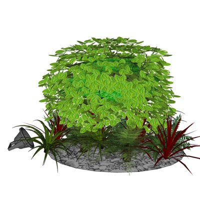 现代花草植物组合免费su模型(1)