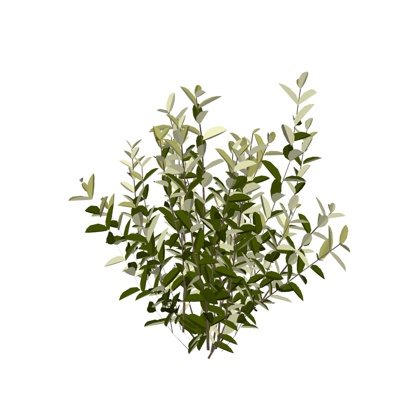 现代花草植物免费su模型(1)
