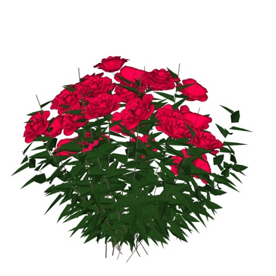 现代玫瑰花免费su模型(1)