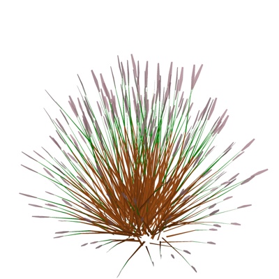 现代花草植物免费su模型(1)