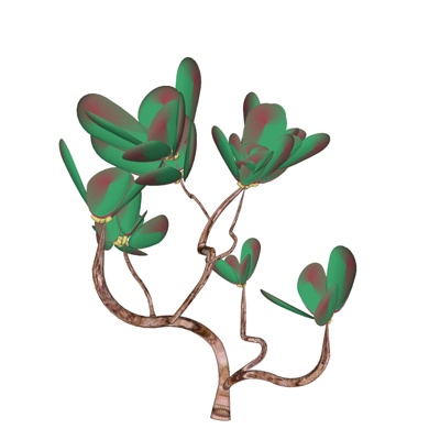 现代花草植物免费su模型(1)