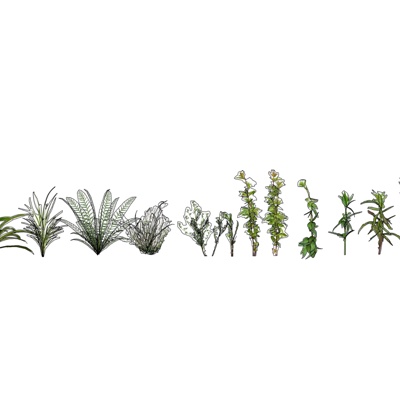 现代花草植物组合免费su模型(1)