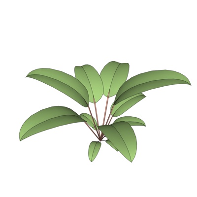 现代花草植物免费su模型(1)