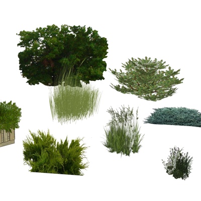现代花草植物组合免费su模型(1)
