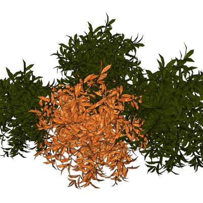 现代花草植物组合免费su模型(1)