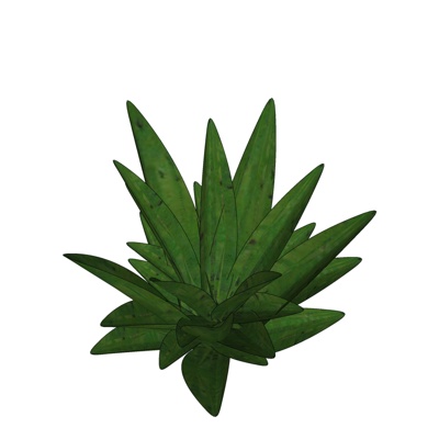 现代龙舌兰免费su模型(1)