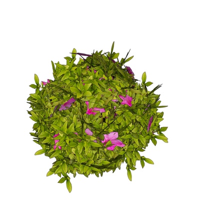 现代花草植物免费su模型(1)