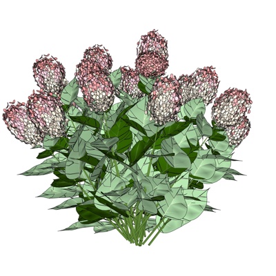 现代花草植物免费su模型(1)