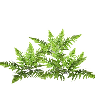 现代花草植物免费su模型(1)