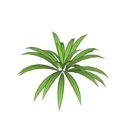 现代龙舌兰免费su模型(1)