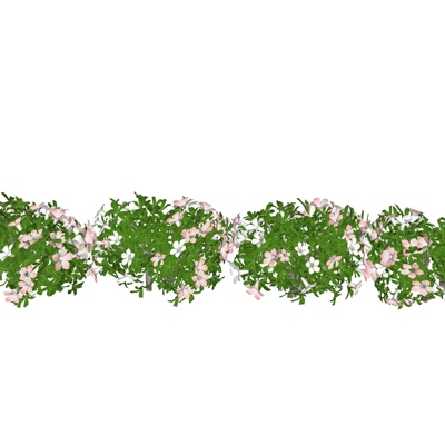 现代花草植物组合免费su模型(1)