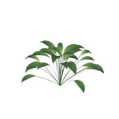 现代花草植物免费su模型(1)